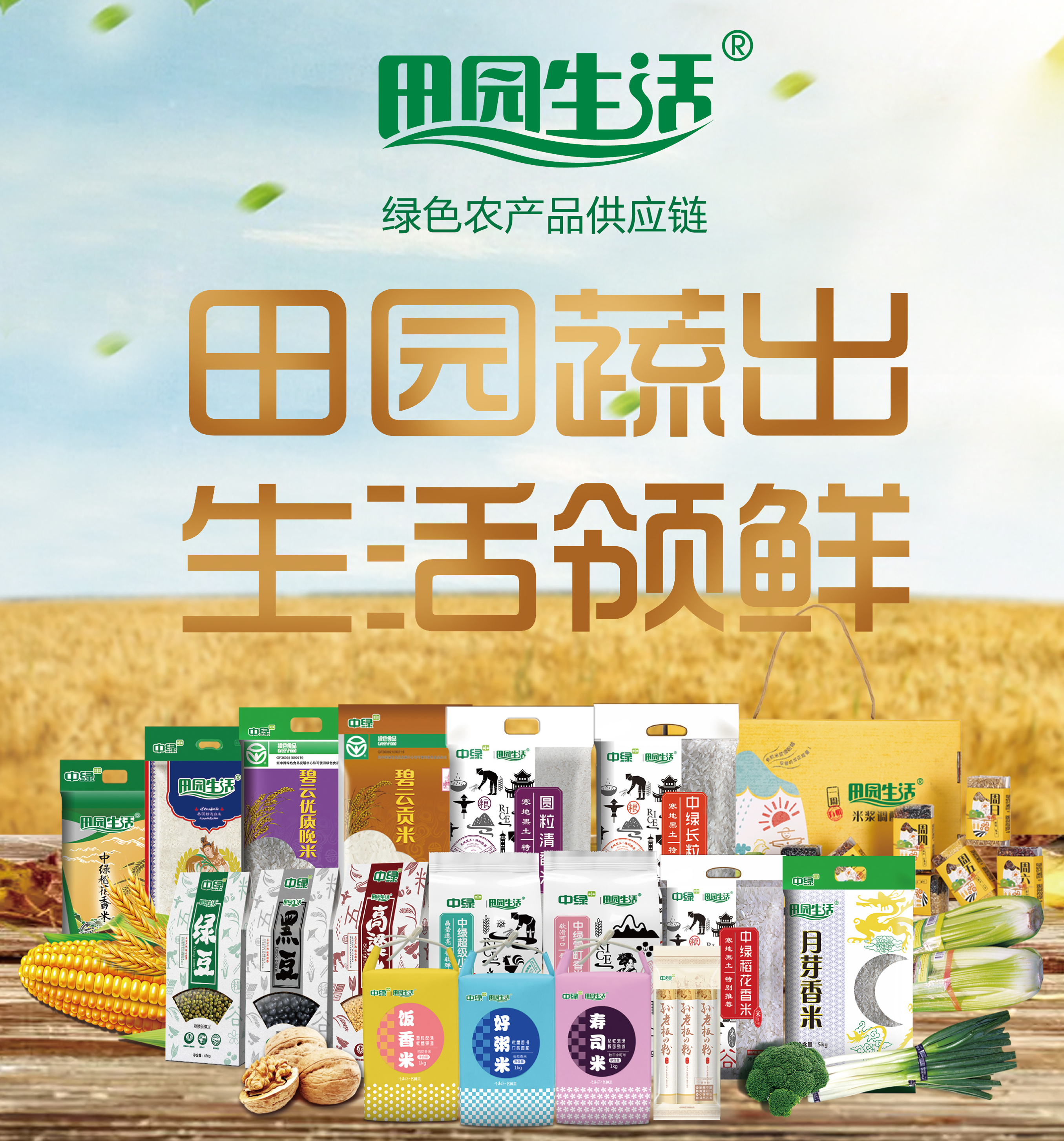 81e5162b512d6_副本.jpg